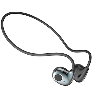 Earaku 左右一体型イヤホン